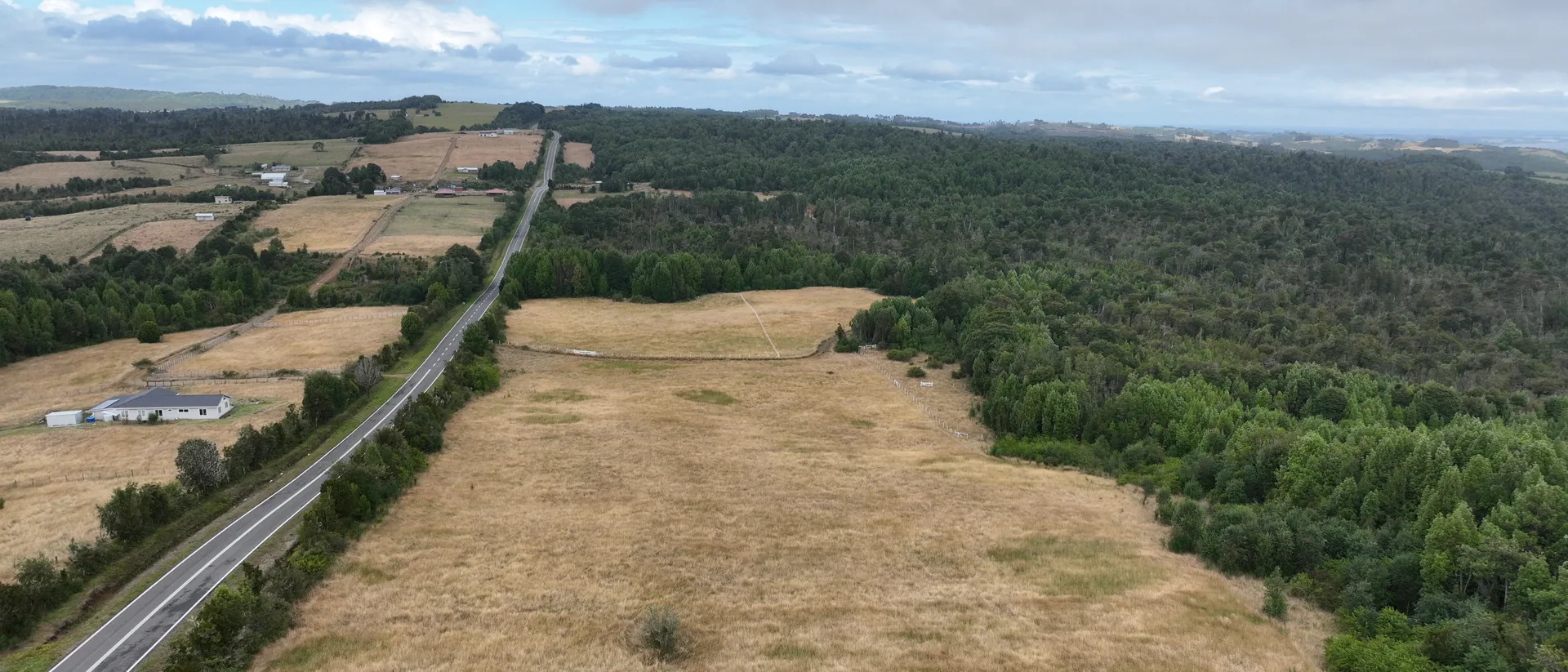 Camino principal del sector Chaquihuán, con praderas a un costado y bosque nativo al otro